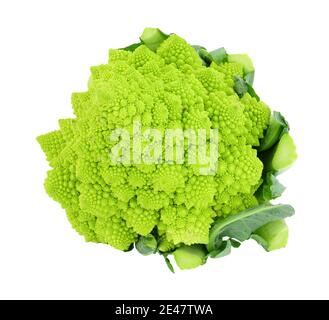 Cavolfiori freschi romanesco o broccoli isolati su sfondo bianco Foto Stock