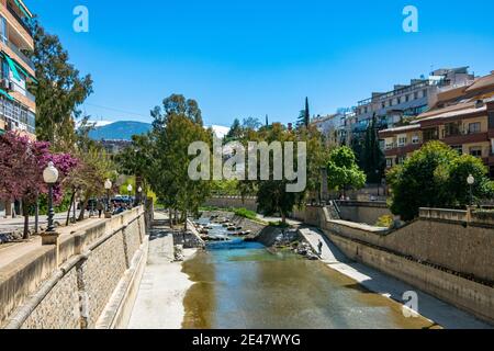 Tour del Paseo del Salón, lungo il fiume Genil e Ronda. Granada. Spagna. Foto Stock