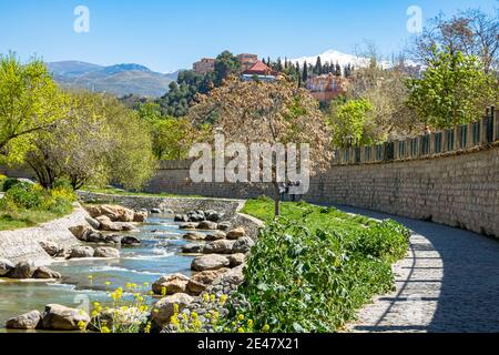 Tour del Paseo del Salón, lungo il fiume Genil e Ronda. Granada. Spagna. Foto Stock