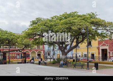 Persone non identificate nell'Independence Park (plaza) a Campeche, Messico Foto Stock