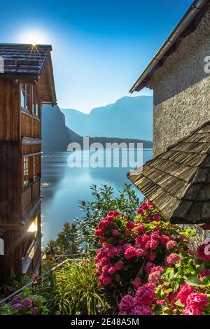 Vista da cartolina della famosa città sul lago di Hallstatt, Austria. Vista panoramica di belle case, fiori in fiore, Hallstatter See.Amazing giornata di sole Foto Stock