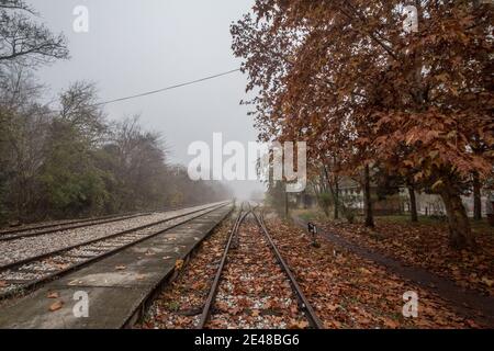 Binari ferroviari, binari e piattaforme di commutazione in una stazione ferroviaria rurale in Serbia Palica, durante un pomeriggio di autunno smog con alberi e un percetto Foto Stock