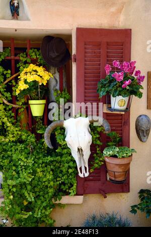 Finestra colorata e persiane decorate con finestre e toro Cranio e corni nella città vecchia di Cassis Provenza Francia Foto Stock