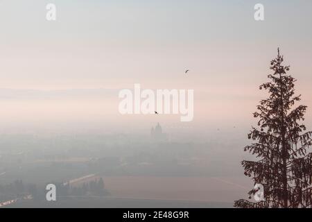 Abeti di Natale, vista panoramica nebbia valle d'italia ad Assisi - Umbria al tramonto con le montagne e la chiesa o la basilica di Santa maria Foto Stock