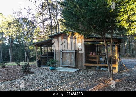 Polpette di pollo di legno su una proprietà rurale di casa con polli interno Foto Stock