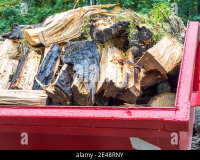 Contenitore con legname nel cantiere Foto Stock