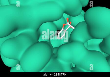 Struttura cristallina di un complesso formato tra fosfolipasi A2 del gruppo II e aspirina, primo piano del modello 3D Foto Stock