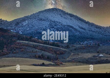 colpo di un pendio di montagna con alberi innevati e campo sullo sfondo del cielo stellato Foto Stock