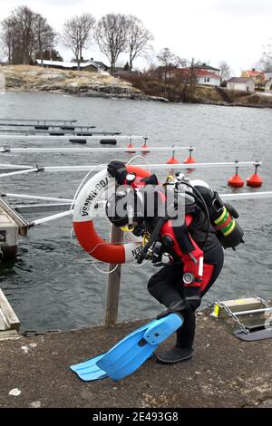 HÄSTHOLMEN, SVEZIA - 19 MAGGIO 2012: Tuffatore nelle acque del lago Vättern, Hästholmen. Foto Stock