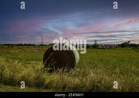 Balla rotonda fuori Rogersville, Missouri est di Springfield, Missouri Foto Stock