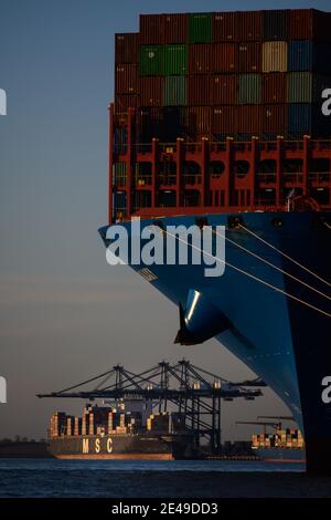 Felixstowe, Regno Unito. 22 gennaio 2021. Il sole sulle navi portacontainer nel porto di Felixstowe, Suffolk. Il trasporto di container ha registrato notevoli disagi sin dalla Brexit, con i porti congestionati e l’aumento della documentazione cartacea che ha portato a ritardi e all’aumento dei costi sia per le importazioni che per le esportazioni. Data immagine: Venerdì 22 gennaio 2021. Il credito fotografico dovrebbe essere: Matt Crossick/Empics/Alamy Live News Foto Stock