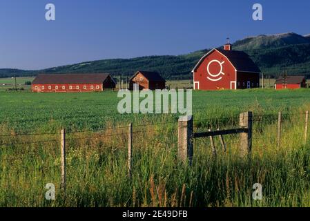 Fienile in Wallowa Valley, Hells Canyon National Scenic Byway, Oregon Foto Stock