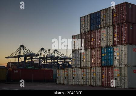 Felixstowe, Regno Unito. 22 gennaio 2021. Contenitori per spedizioni nel porto di Felixstowe, Suffolk. Il trasporto di container ha registrato notevoli disagi sin dalla Brexit, con i porti congestionati e l’aumento della documentazione cartacea che ha portato a ritardi e all’aumento dei costi sia per le importazioni che per le esportazioni. Data immagine: Venerdì 22 gennaio 2021. Il credito fotografico dovrebbe essere: Matt Crossick/Empics/Alamy Live News Foto Stock