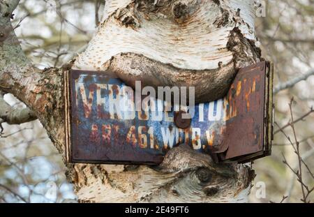 Segno arrugginito con in olandese le parole proibito ingresso, inchiodato ad un albero, quasi illeggibile, cresciuto nella corteccia dell'albero Foto Stock