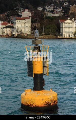 Giallo una boa nera sulle onde del fiume Foto Stock