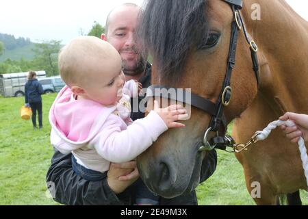 Straiton, Ayrshire, Scozia, Regno Unito 10 giugno 2017. Spettacolo agricolo locale. Pony Tower Celidh ottiene un abbraccio forma 14mth vecchio Niamh Allan Foto Stock