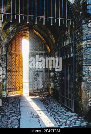 Albero di luce solare attraverso il cancello del castello, Castello di Llandaff Foto Stock