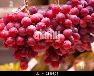 Uve rosse su un ramo Foto Stock