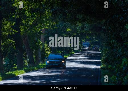 Putbus, viale, automobili, faggi, parte di Deutsche Alleenstrasse (strada statale tedesca), Ostsee (Mar Baltico), Isola di Rügen, Meclemburgo-Vorpommern / Meclemburgo-Pomerania occidentale, Germania Foto Stock