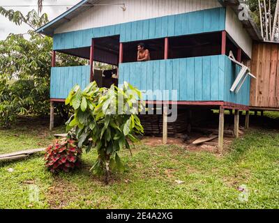 Paumari, Perù - 29 novembre 2018: Casa di legno in un piccolo villaggio nella giungla amazzonica, Sud America. Affluente del bacino del fiume Yavarii del Rio delle Amazzoni. Foto Stock