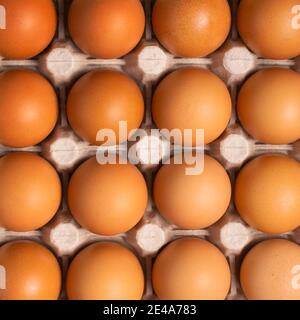 Far rosolare le uova di pollo fresche in una scatola di cartone. Primo piano naturale uovo organico modello. Cibo sano e reale. Vista dall'alto, disposizione piatta Foto Stock