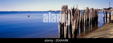 Pali di legno sulla spiaggia, Provincetown, Cape Cod, Barnstable County, Massachusetts, Stati Uniti Foto Stock