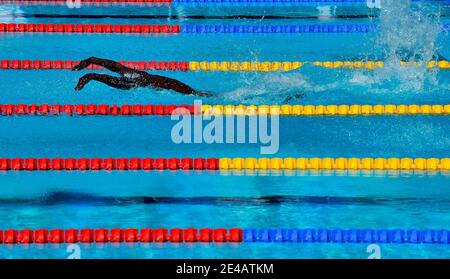 Atmosfera durante la serie al 13° Campionato del mondo di nuoto 'Fina', a Roma, Italia, il 26 luglio 2009. Foto di Christophe Guibbaud/Cameleon/ABACAPRESS.COM Foto Stock