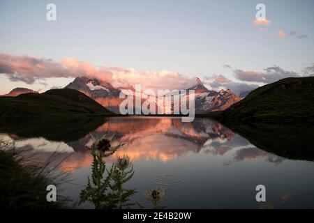 Lago di montagna al tramonto con riflessi e thistles Foto Stock