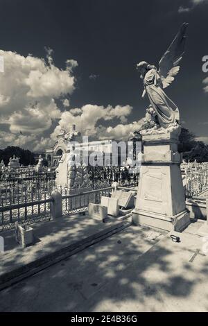 Lapidi in un cimitero, Colon Cemetery, Vedado, l'Avana, Cuba Foto Stock