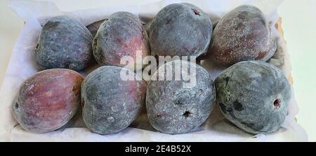 Fichi freschi in scatola di cartone, São Paulo, Brasile Foto Stock