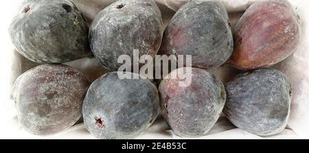 Fichi freschi in scatola di cartone, São Paulo, Brasile Foto Stock