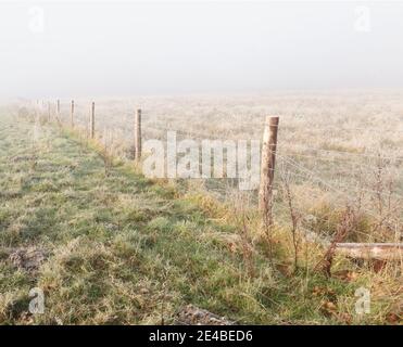 Una serie di pali di recinzione in legno scompare nel buio foggy, Nord Wessex Downs AONB Foto Stock