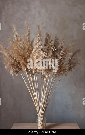 bouquet di piante di canna sullo sfondo di un grigio parete in cemento con macrame fatto a mano Foto Stock