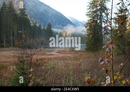 Umore autunnale all'Hintersee a Ramsau vicino a Berchtesgaden in Il Berchtesgadener Land bavarese Foto Stock