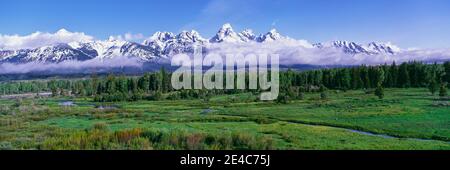 Vista della catena montuosa di Teton e del corridoio del fiume Snake dall'area panoramica di Blacktail Ponds, Grand Teton National Park, Wyoming, USA Foto Stock