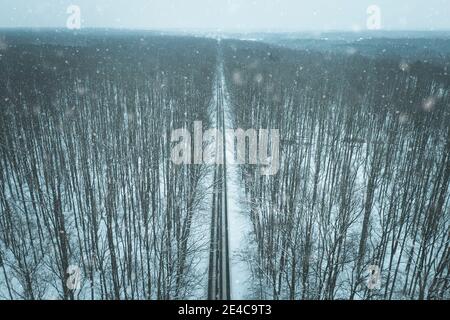La strada attraverso la foresta di inverno Foto Stock