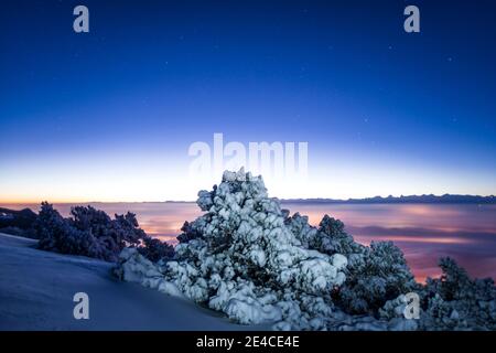 Daybreak sulla vetta della montagna, nebbia colorata Foto Stock