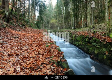 La Schwarzenbergsche Schwemmkanal nella Mühlviertel sull'Austria superiore / confine ceco Foto Stock