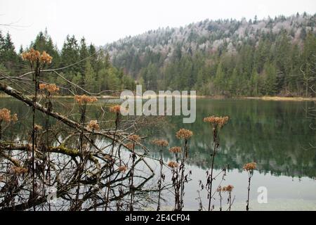 Isar Reservoir, Isar natura avventura sentiero vicino Krün, percorso circolare, brina, nebbia, vicino Mittenwald, alta Baviera, Baviera, Germania Foto Stock