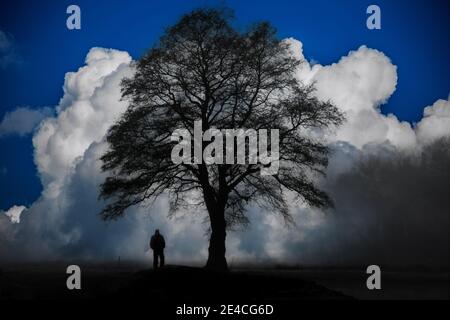 L'uomo si trova nella nebbia leggera sotto un grande albero di quercia, sullo sfondo nuvole di pioggia estreme nel cielo [M] Foto Stock