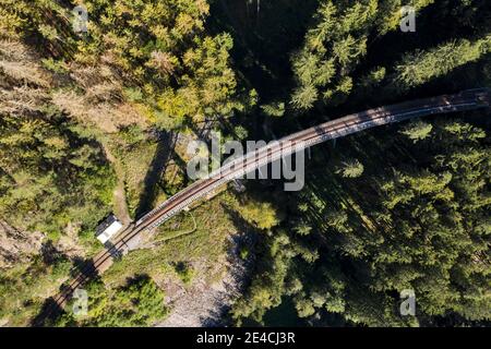 Ponte ferroviario, foresta, vista dall'alto, vista aerea Foto Stock