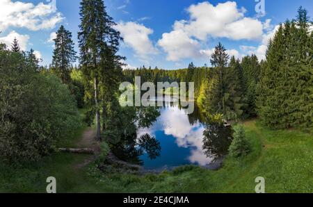 Germania, Turingia, Großbreitenbach, Neustadt / Rstg, stagno, foresta, alberi Foto Stock