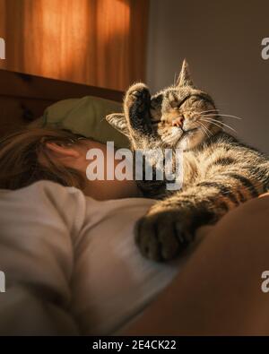 Gatto nel letto di una ragazza durante il lavaggio del mattino Domenica per il primo raggio di sole Foto Stock