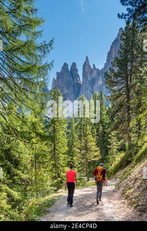 Tiers, Tierser tal, Provincia di Bolzano, Dolomiti, Alto Adige, Italia. Escursionisti sulla salita al Haniger Schwaige Foto Stock