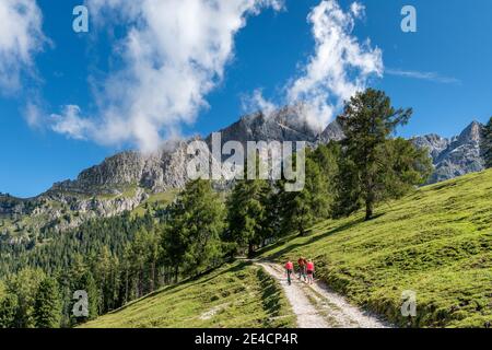 Tiers, Tierser tal, Provincia di Bolzano, Dolomiti, Alto Adige, Italia. Escursionisti sulla salita al Haniger Schwaige Foto Stock