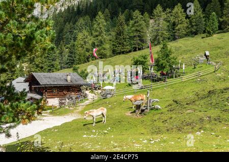 Tiers, Tierser tal, Provincia di Bolzano, Dolomiti, Alto Adige, Italia. L'Haniger Schwaige Foto Stock