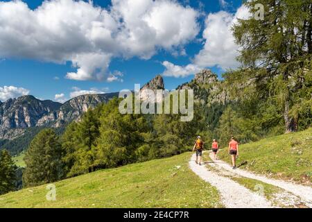 Tiers, Tierser tal, Provincia di Bolzano, Dolomiti, Alto Adige, Italia. Escursionisti in discesa dall'Haniger Schwaige Foto Stock