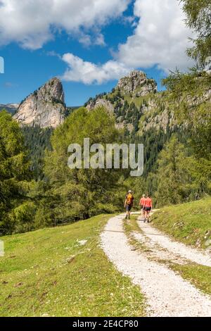 Tiers, Tierser tal, Provincia di Bolzano, Dolomiti, Alto Adige, Italia. Escursionisti in discesa dall'Haniger Schwaige Foto Stock