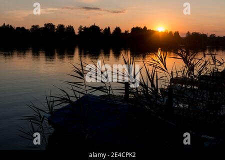 Germania, Baden-Wuerttemberg, Illmensee, barche da pesca nelle canne, crepuscolo Foto Stock