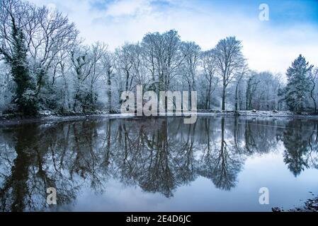 Chipping, Preston, Lancashire, Regno Unito. 23 gennaio 2021. Un primo autunno di neve nel villaggio di Chipping vicino a Preston, Lancashire. Credit: John Eveson/Alamy Live News Foto Stock